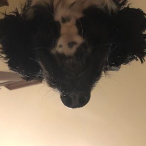 Meet your Posher, Maximilien